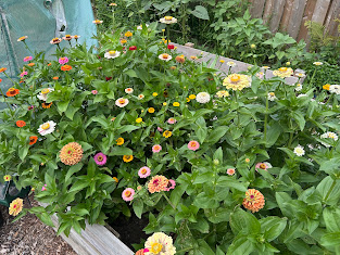 Fresh Spring Container Design