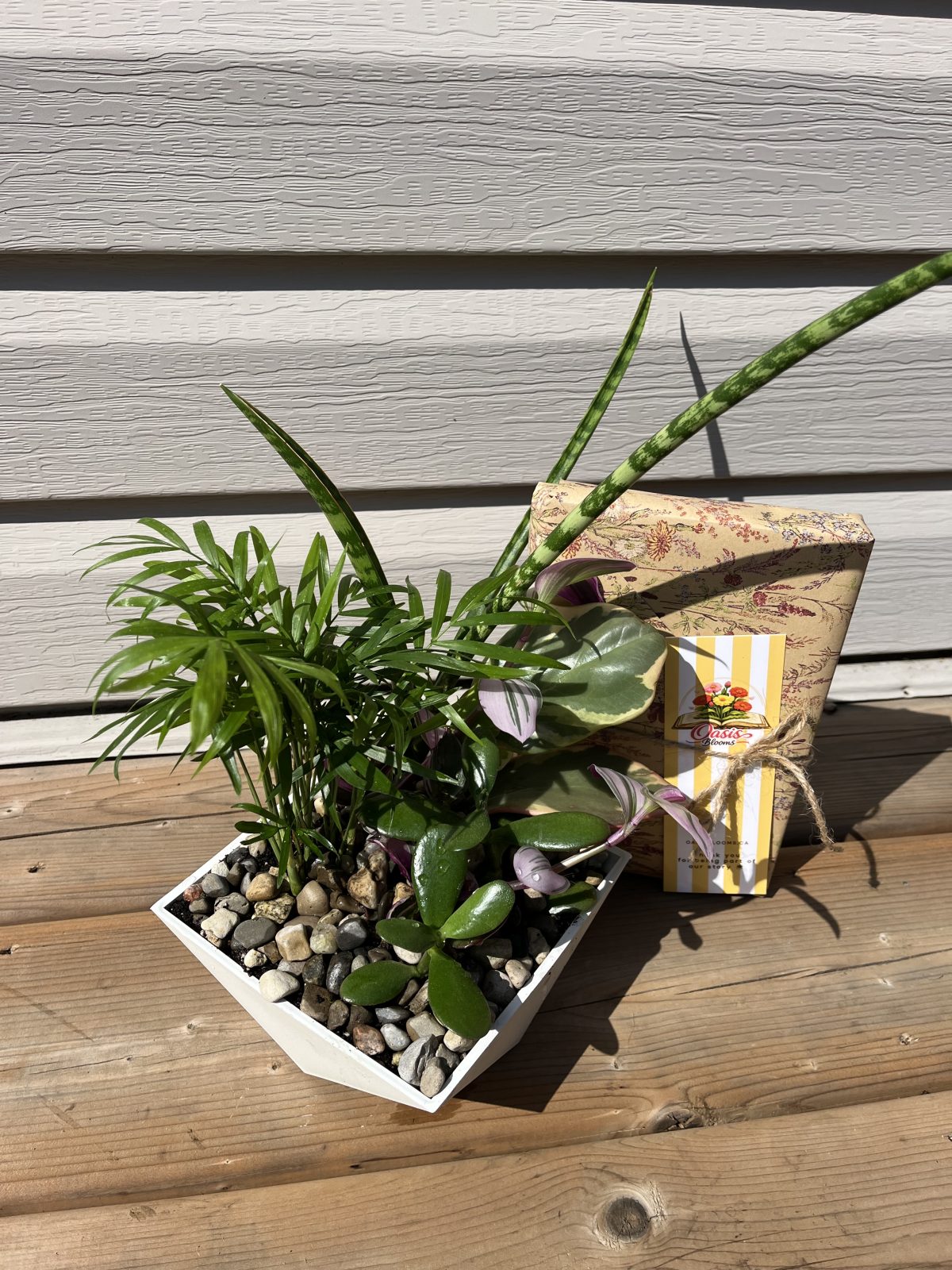 Houseplant Dish Garden with Book