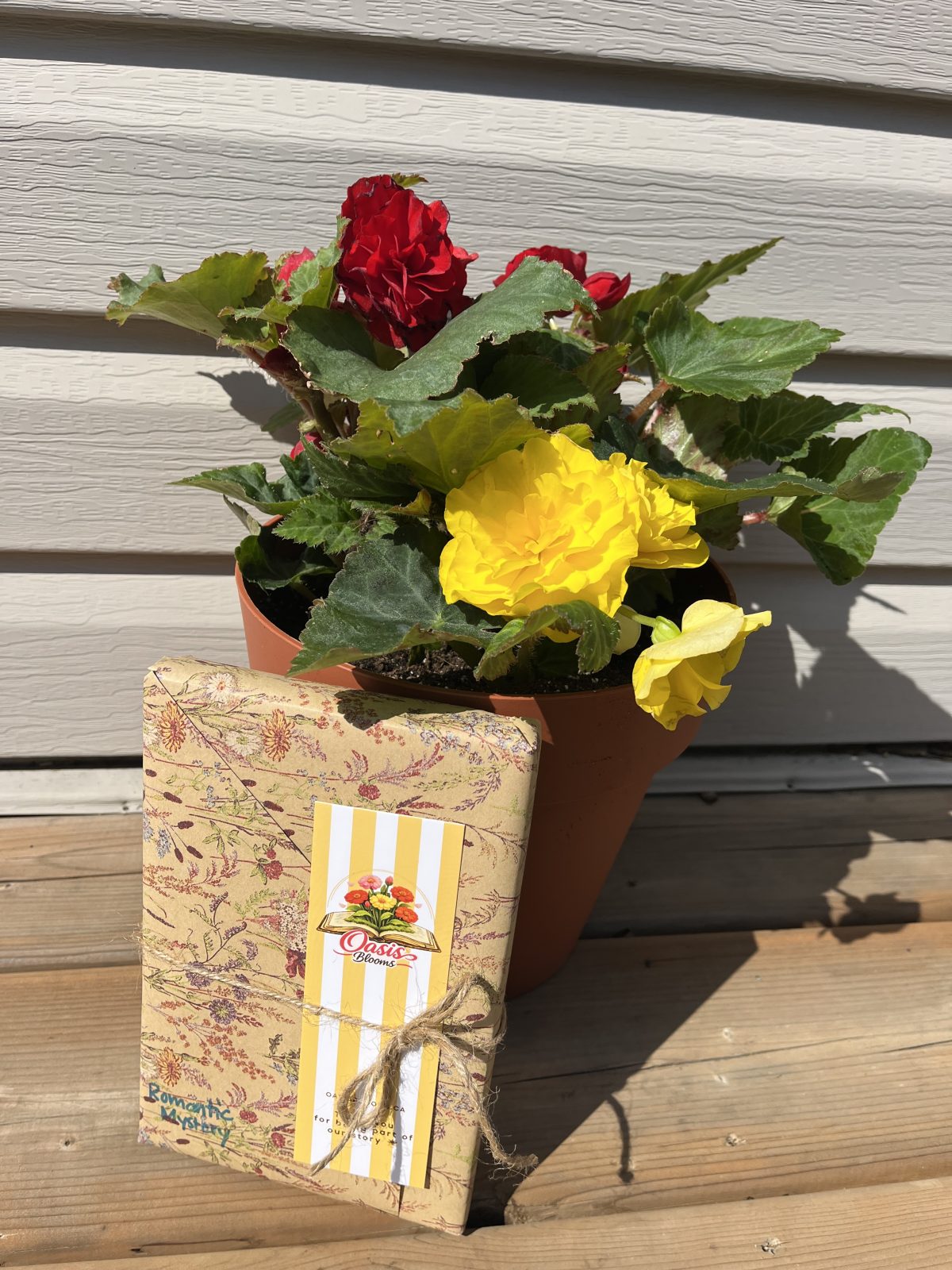 Mother’s Day Begonia Pot with Book